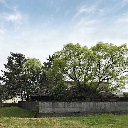 残された緑豊かな土地