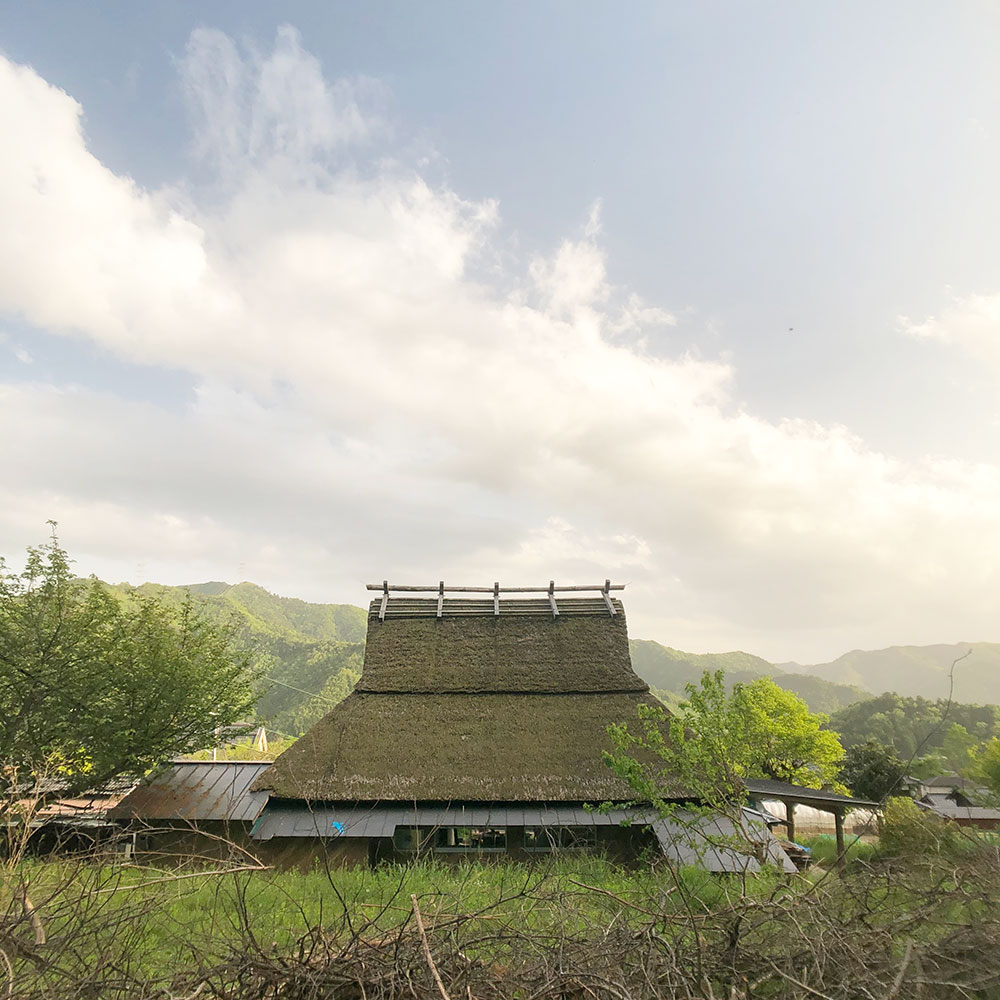 美山の家の茅葺き屋根