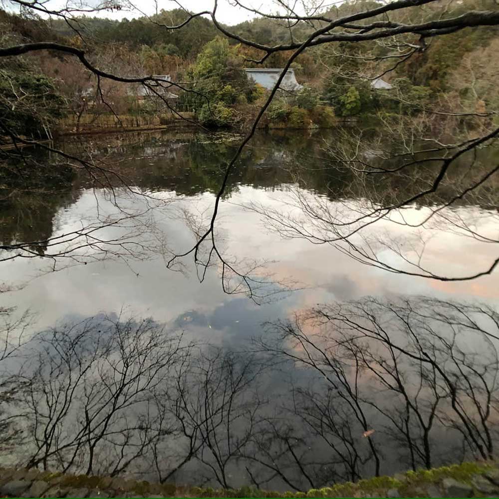 隠れた魅力、龍安寺の鏡容池