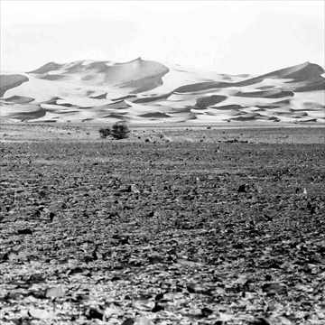 ERG CHEBBIの砂漠風景