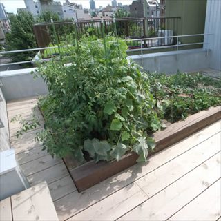 魅力的な屋上デッキと家庭菜園が可能