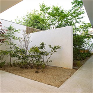白い壁の背景の緑