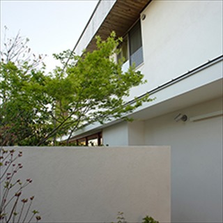 白い壁越しに中庭にある樹木の背景